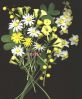 Composizione di fiori spontanei (65).jpg